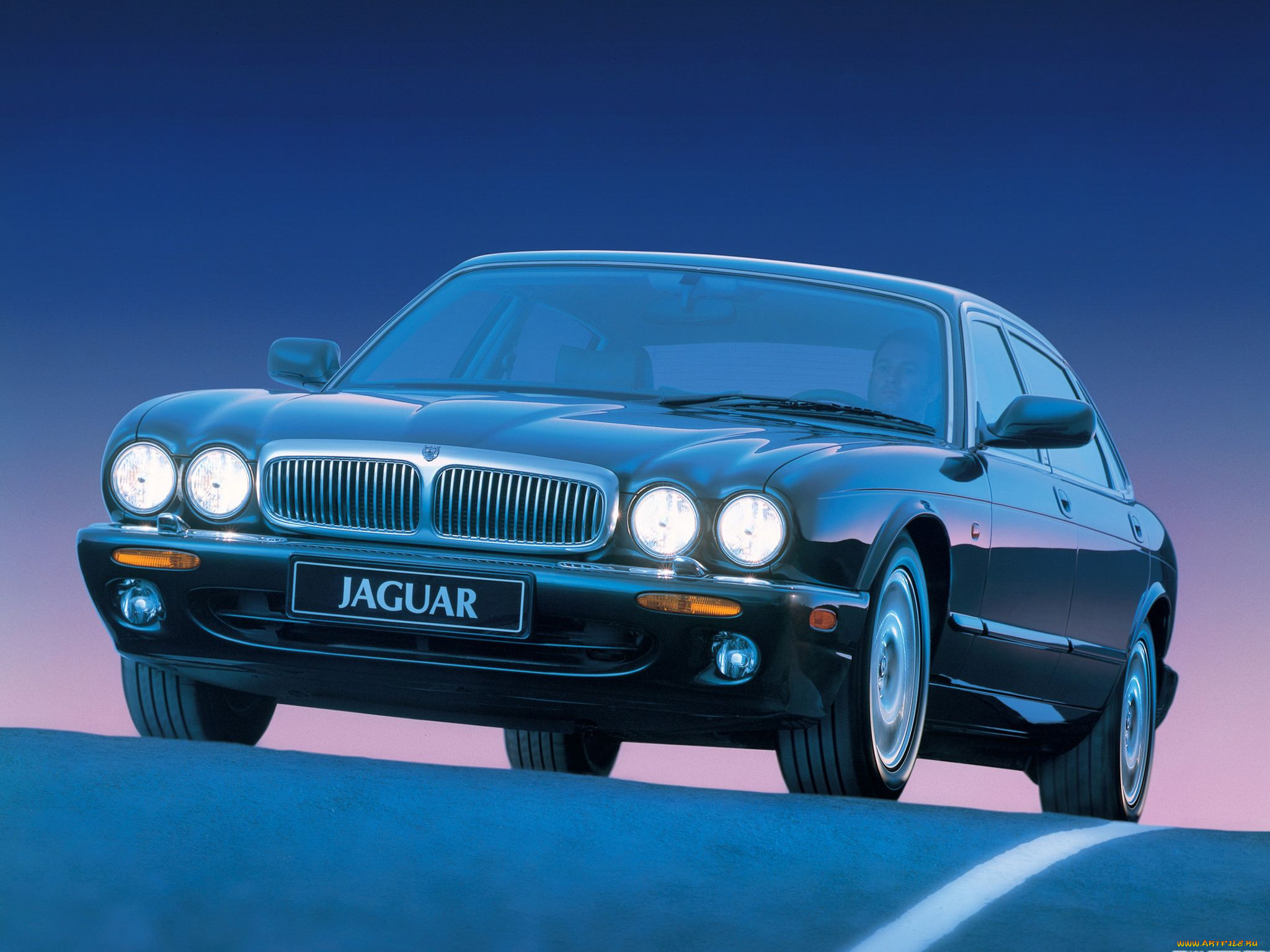 , jaguar